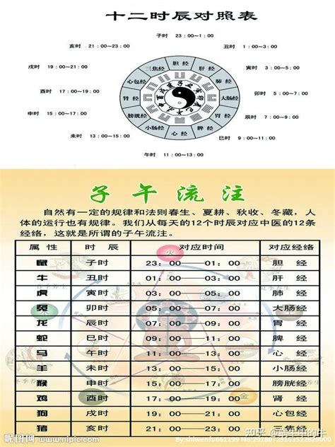 辰月是几月|天支地支 十二时辰对照表